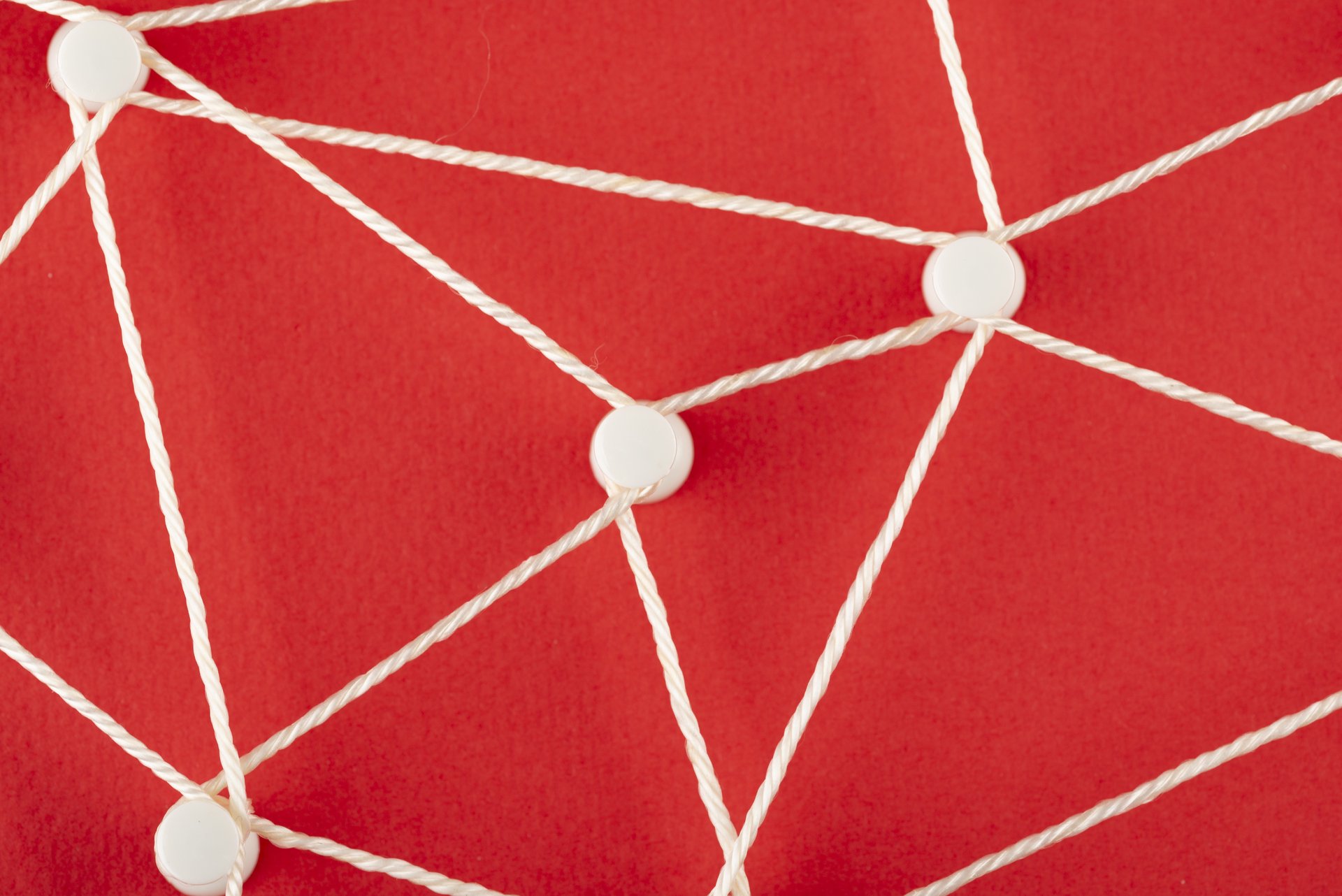 Network of strings